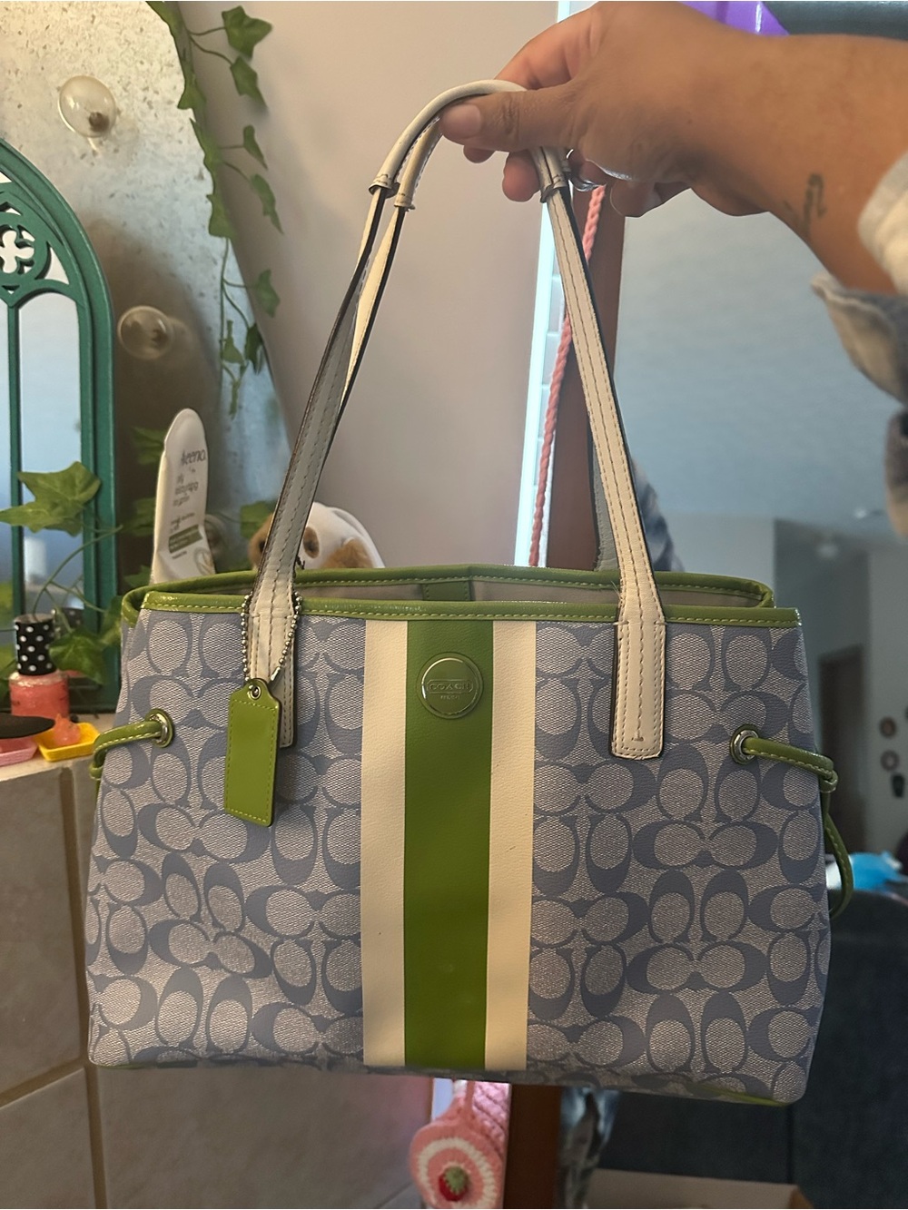 Green and blue Coach bag